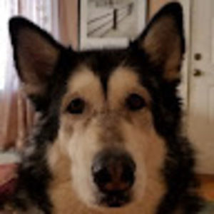 Meet your Posher, Jm